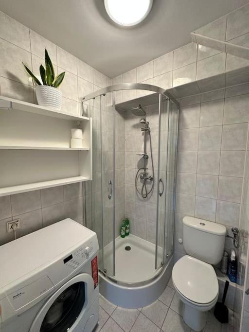 Na Zielonym Powislu Apartment